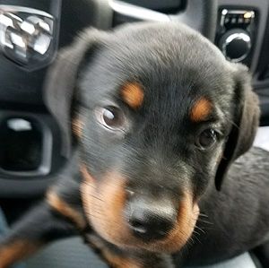 Meet your Posher, James